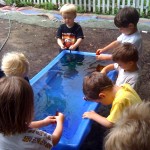 Around the water table